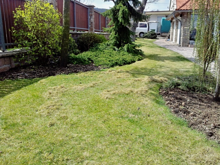 Provzdušňování  trávníku - jaro